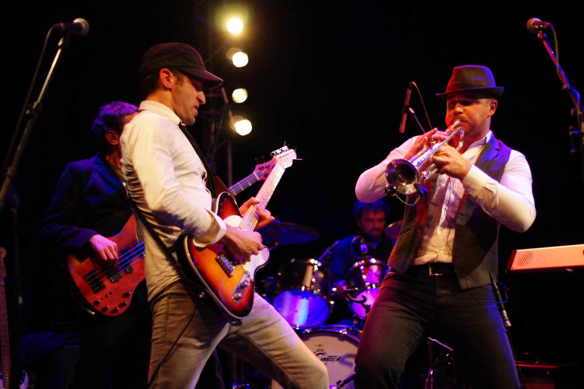 groupe salamandre en concert